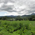 DSC05611